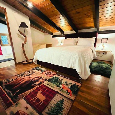 Mz Reindeer Hotel Kalivia  Ngoại thất bức ảnh